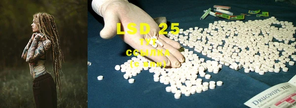 ГАЛЛЮЦИНОГЕННЫЕ ГРИБЫ Нязепетровск